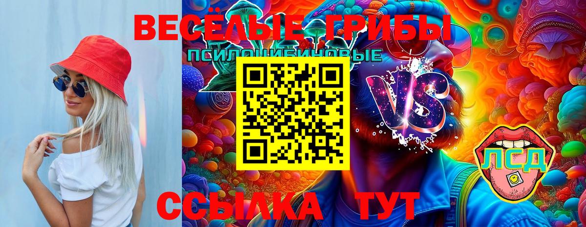 Железноводск  Галлюциногенные грибы прущие грибы  Вход с VPN 